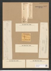 Sceptroneis caducea Ehr. (de-Toni-Nr.: Genus 63, Species 2564) Zeichnungen Sammlung Grunow Nr. 5123 (NHMW-BOT-W0373428)